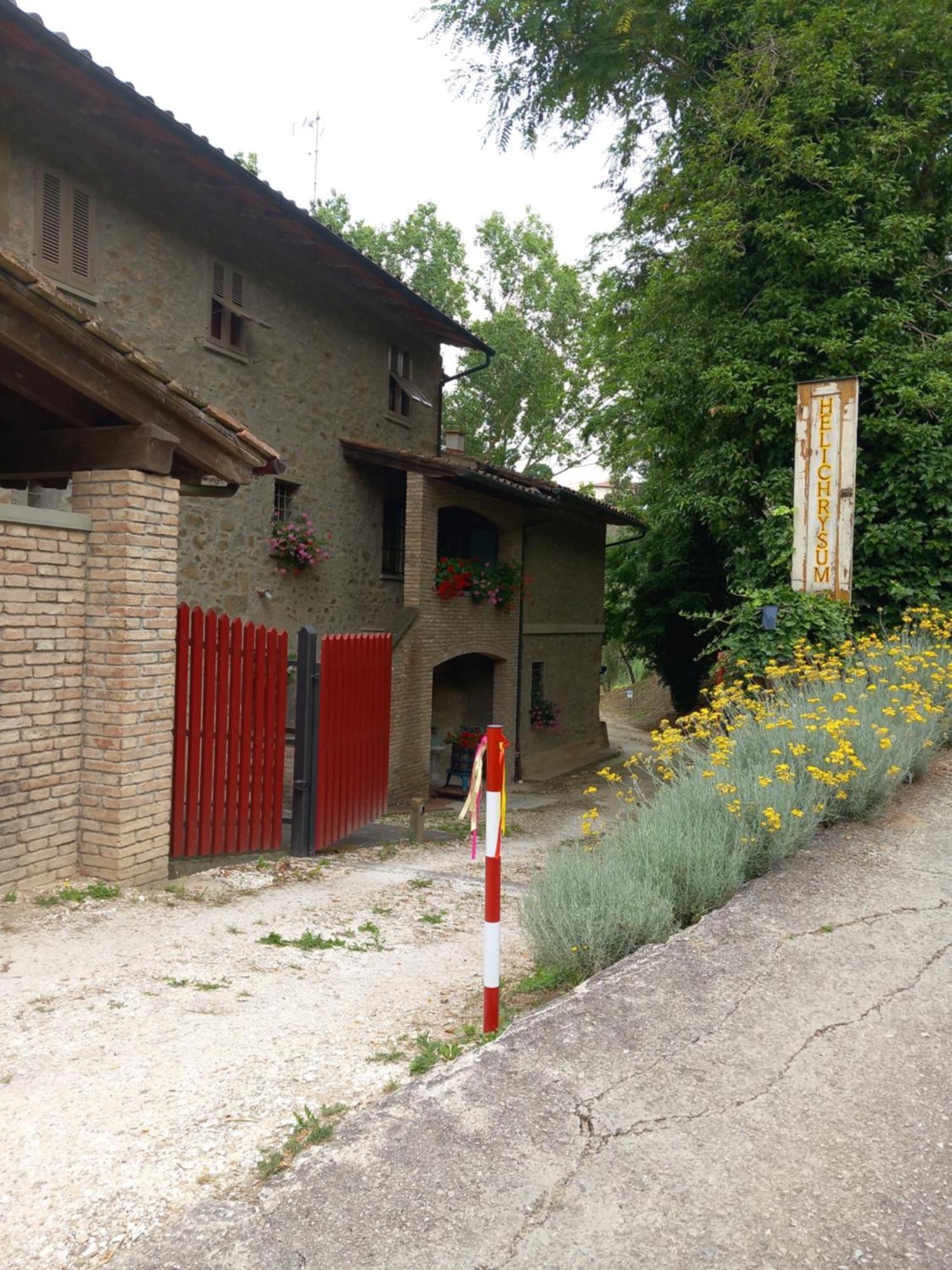 Helichrysum Bed and Breakfast Vinci Exteriör bild